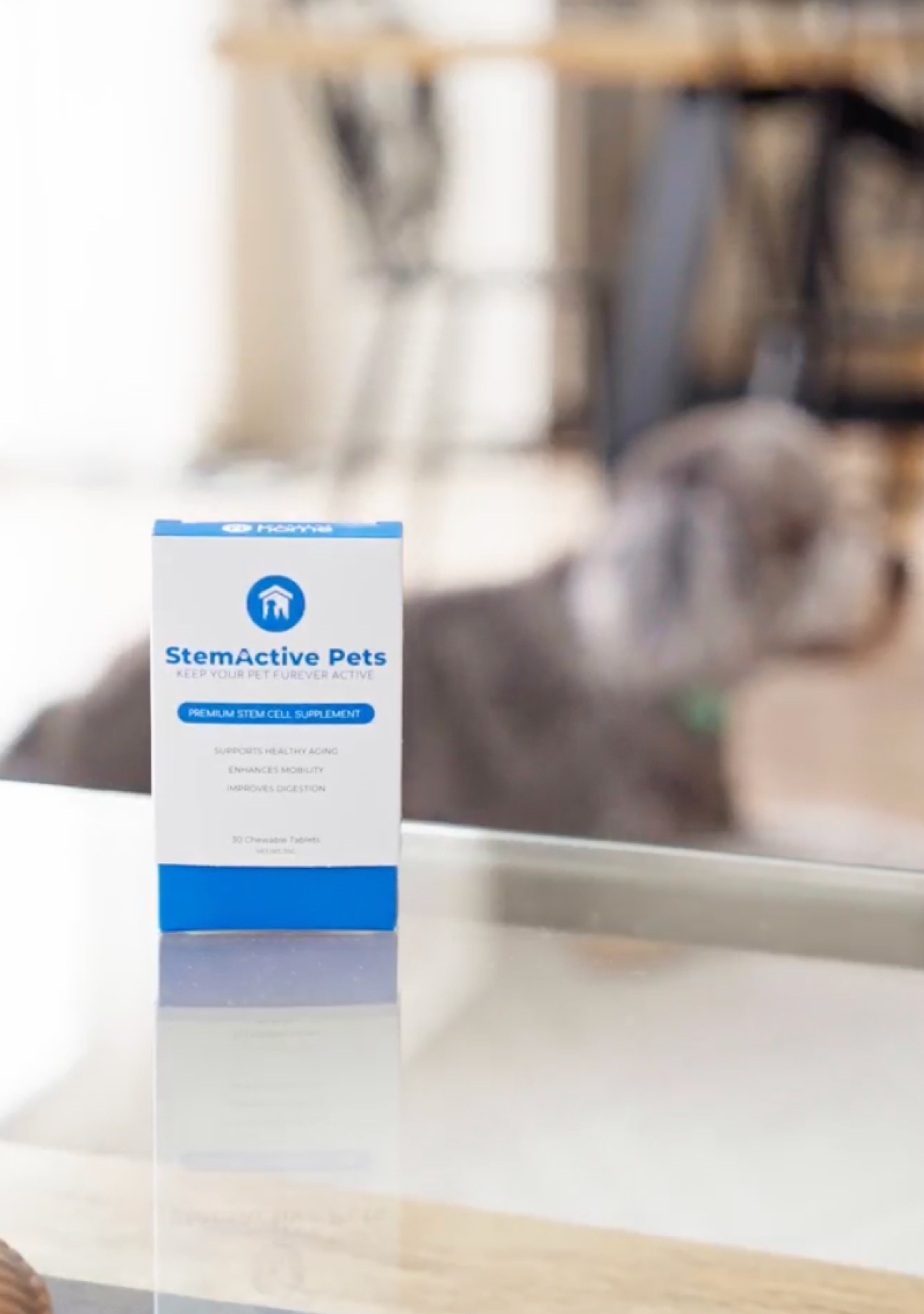 StemActive PETS Testimonial